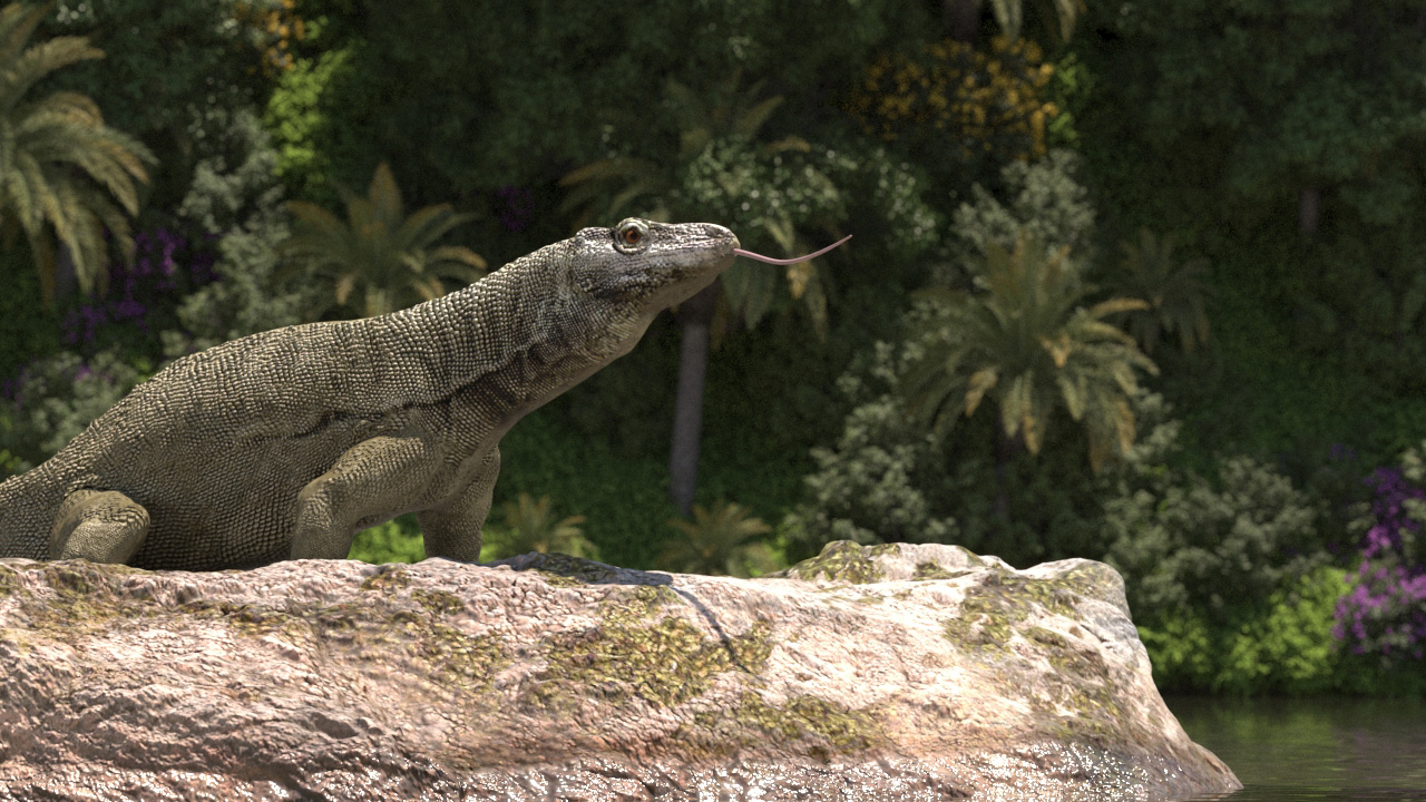 Lizard and Drone Rig